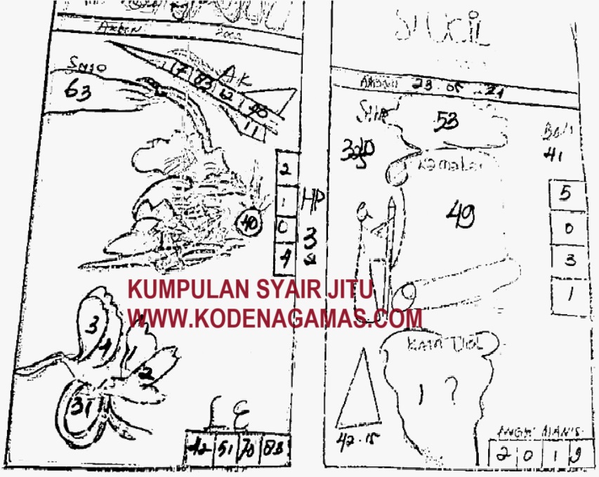 SYAIR SDY VIP